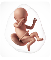 Ekran Resmi 2019-08-10 21-30-47